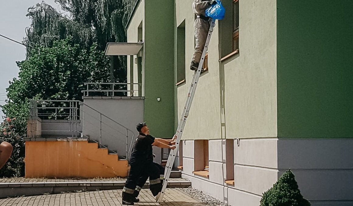 Osy na terenie Centrum Opieki Paliatywnej Caritas Diecezji Opolskiej w Starych Siołkowicach