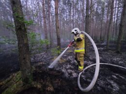 Pożar lasu w miejscowości Lubienia