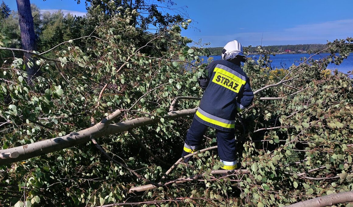 Interwencja na kąpielisku w Nowych Siołkowicach