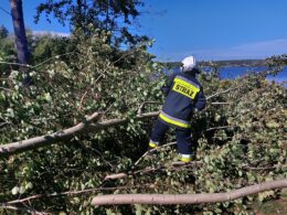 Interwencja na kąpielisku w Nowych Siołkowicach